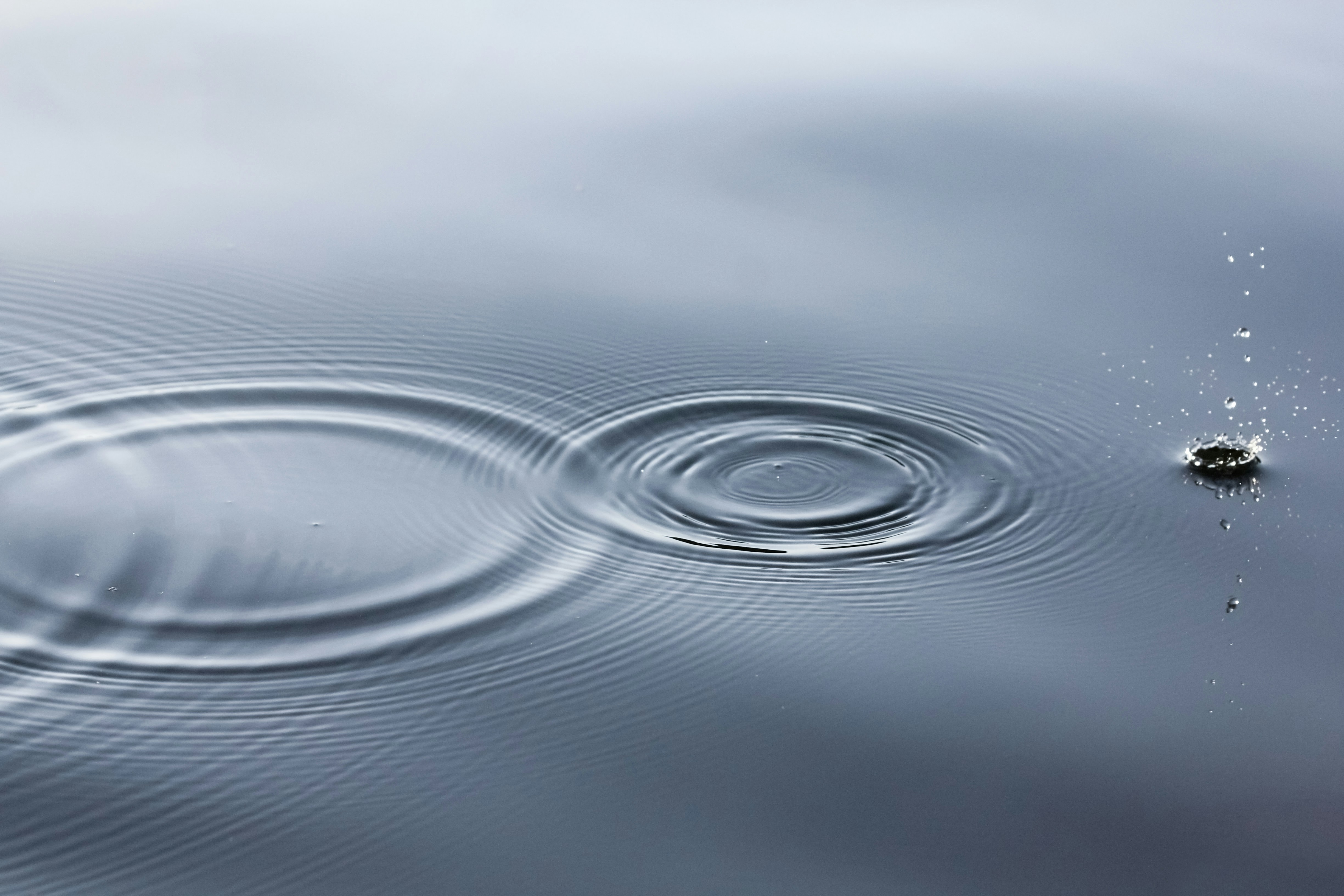 Navigating Polyvagal Theory: A Neurobiological Approach to Healing